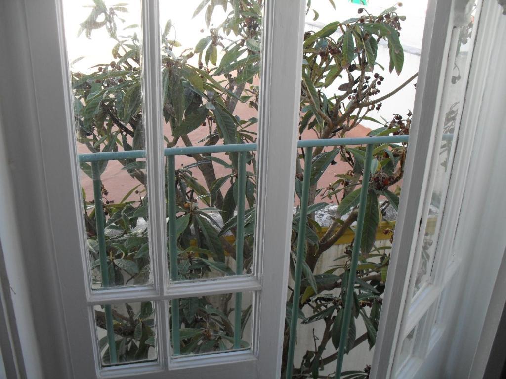 פררה דו אלנטחו Casa Verde חדר תמונה